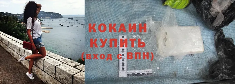 Cocaine Эквадор  как найти закладки  кракен как зайти  Каменка 